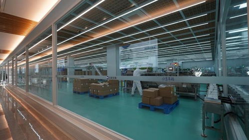 未來生物 以卓越品質(zhì)與專業(yè)服務(wù)，鑄就生物技術(shù)開發(fā)領(lǐng)域的信賴之選