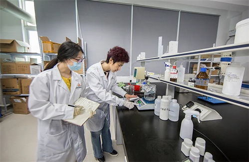 抓品質(zhì)重服務(wù)，海智生物專注品質(zhì)，倚夢(mèng)前行