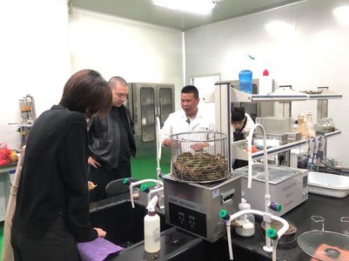 科技賦能農(nóng)業(yè)新篇章 CCTV 1聚焦云谷田園LED植物工廠，珍稀本草金線蓮成功培育引領(lǐng)生物技術(shù)新服務(wù)